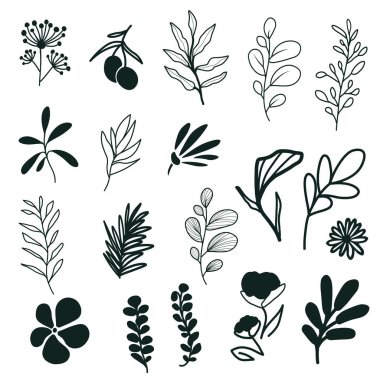 Karalama çizgisi çiçek seti beyaz arkaplanda izole edilmiş. Basit vektör ikon koleksiyonu. Logo tasarım elemanı. Botanik yaprak ve dallar.