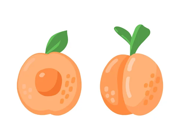 Colorful Cartoon Peach Apricot Fruit Icon Set Isolated White Background — Stockvektor