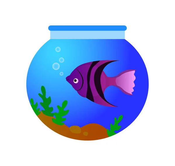 Cute Tropical Fish Aquarium Vector Illustration Colorful Cartoon Animal Isolated — Stock Vector