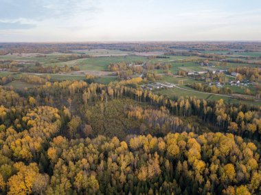 Gün batımında kırsal alanlar ve ormanlar. Yukarıdan drone resmi
