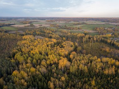 Gün batımında kırsal alanlar ve ormanlar. Yukarıdan drone resmi