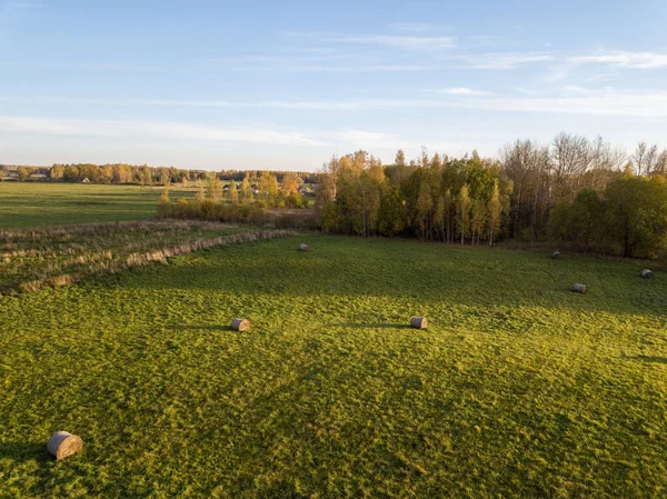 Felder Und Wälder Sonnenuntergang Drohnenbild Von Oben — Stockfoto