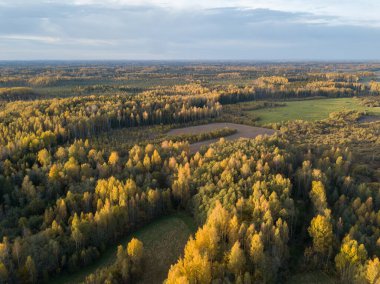 Gün batımında kırsal alanlar ve ormanlar. Yukarıdan drone resmi