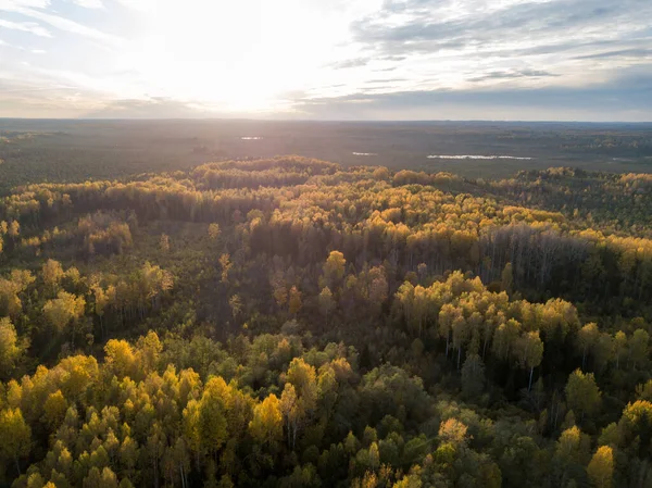 Pól Wiejskich Lasów Świetle Zachodu Słońca Obraz Drona Góry — Zdjęcie stockowe