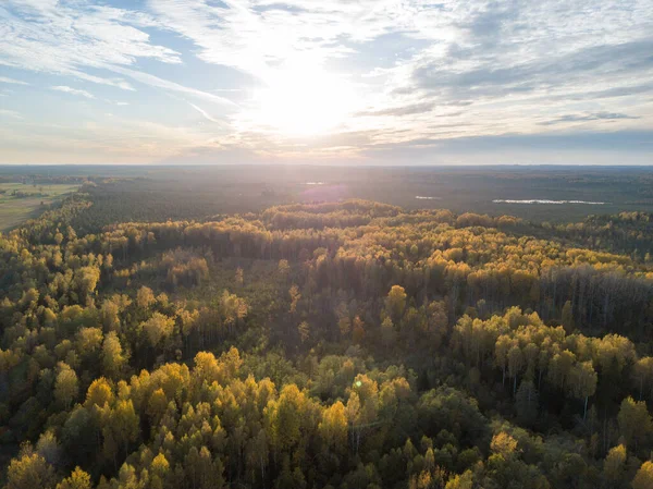 Krajinná Pole Lesy Při Západu Slunce Bezpilotní Obraz Shora — Stock fotografie