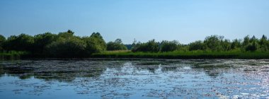 Kır ormanı gölü yazın koyu mavi sularda yansımalar ve kıyılarda yeşil ağaçlarla