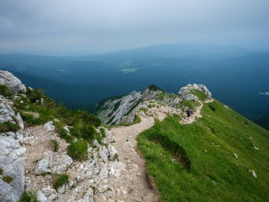 Slovakya 'daki Tatra dağlarında çakıl yürüyüş yolları. Yeşil yaz tepeleri sisli ve harika manzaralı