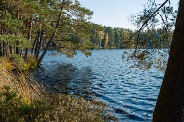 Kır ormanı gölü yazın koyu mavi sularda yansımalar ve kıyılarda yeşil ağaçlarla