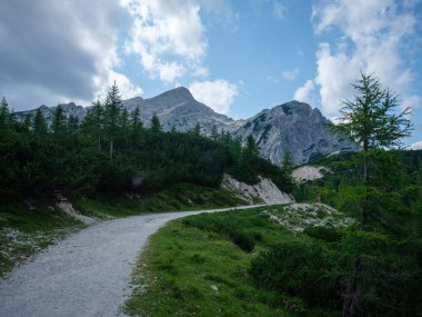 Slovakya 'daki Tatra dağlarında çakıl yürüyüş yolları. Yeşil yaz tepeleri sisli ve harika manzaralı