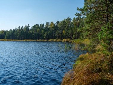 Kır ormanı gölü yazın koyu mavi sularda yansımalar ve kıyılarda yeşil ağaçlarla