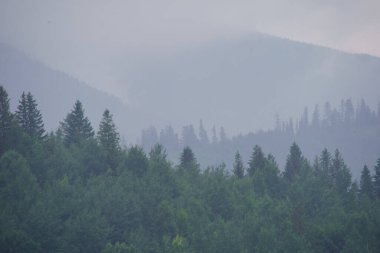 Slovenya Triglav Ulusal Parkı 'ndaki puslu dağların tepeleri. Kayalar ve yeşil çayırlar ile yaz manzarası.