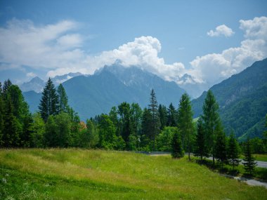 Slovenya Triglav Ulusal Parkı 'ndaki puslu dağların tepeleri. Kayalar ve yeşil çayırlar ile yaz manzarası.