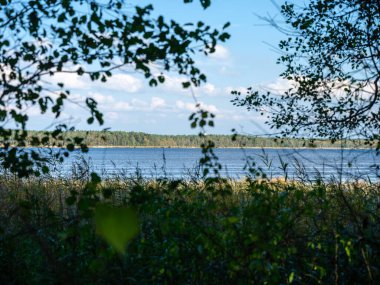 Kır ormanı gölü yazın koyu mavi sularda yansımalar ve kıyılarda yeşil ağaçlarla