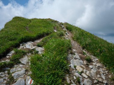 Slovakya 'daki Tatra dağlarında çakıl yürüyüş yolları. Yeşil yaz tepeleri sisli ve harika manzaralı