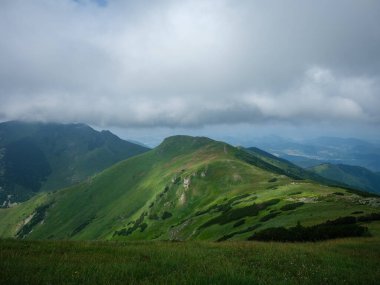 Slovenya Triglav Ulusal Parkı 'ndaki puslu dağların tepeleri. Kayalar ve yeşil çayırlar ile yaz manzarası.