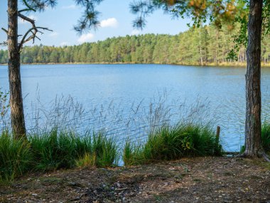 Kır ormanı gölü yazın koyu mavi sularda yansımalar ve kıyılarda yeşil ağaçlarla