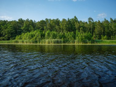 Kır ormanı gölü yazın koyu mavi sularda yansımalar ve kıyılarda yeşil ağaçlarla