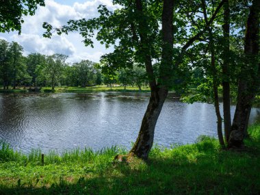 Kır ormanı gölü yazın koyu mavi sularda yansımalar ve kıyılarda yeşil ağaçlarla