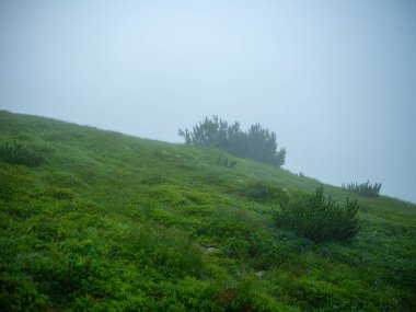 Slovenya Triglav Ulusal Parkı 'ndaki puslu dağların tepeleri. Kayalar ve yeşil çayırlar ile yaz manzarası.