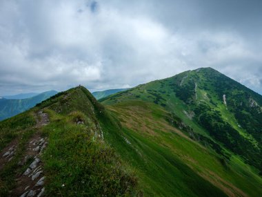 Slovenya Triglav Ulusal Parkı 'ndaki puslu dağların tepeleri. Kayalar ve yeşil çayırlar ile yaz manzarası.