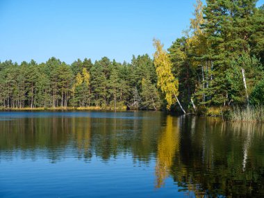 Kır ormanı gölü yazın koyu mavi sularda yansımalar ve kıyılarda yeşil ağaçlarla