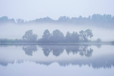 Sakin su, sis ve ayna yüzeyindeki ağaçların yansımaları ile gölün yanında sisli bir sabah. sakin yaz renkleri