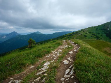 Slovakya 'daki Tatra dağlarında çakıl yürüyüş yolları. Yeşil yaz tepeleri sisli ve harika manzaralı