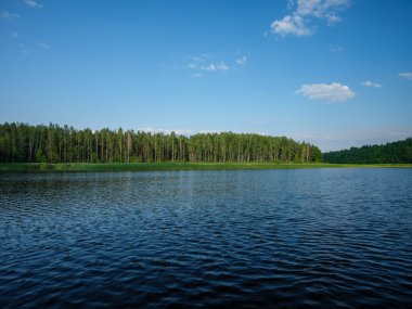 Kır ormanı gölü yazın koyu mavi sularda yansımalar ve kıyılarda yeşil ağaçlarla