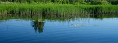 Kır ormanı gölü yazın koyu mavi sularda yansımalar ve kıyılarda yeşil ağaçlarla