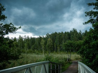 Yazın koyu ağaçlarla çevrili mavi göl üzerindeki dramatik bulutlar