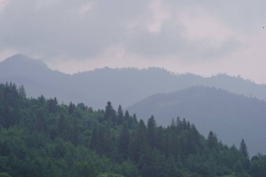 Slovenya Triglav Ulusal Parkı 'ndaki puslu dağların tepeleri. Kayalar ve yeşil çayırlar ile yaz manzarası.