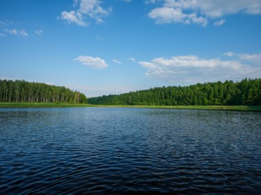 Kır ormanı gölü yazın koyu mavi sularda yansımalar ve kıyılarda yeşil ağaçlarla