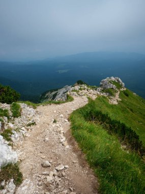 Slovakya 'daki Tatra dağlarında çakıl yürüyüş yolları. Yeşil yaz tepeleri sisli ve harika manzaralı