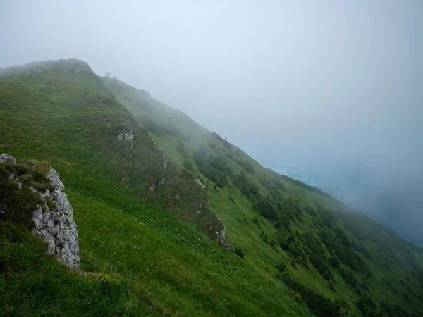 Dimmiga Bergstoppar Slovenien Triglav Nationalpark Sommarlandskap Med Klippor Och Gröna — Stockfoto