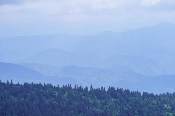 Nebelige Berggipfel Slowenischen Triglav Nationalpark Sommerlandschaft Mit Felsen Und Grünen — Stockfoto