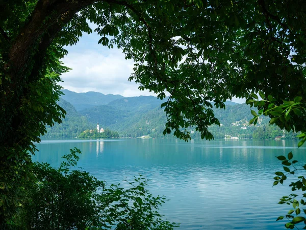 Church Island Lake Bled Slovenia Summer Day Clean Water — Stock Photo, Image