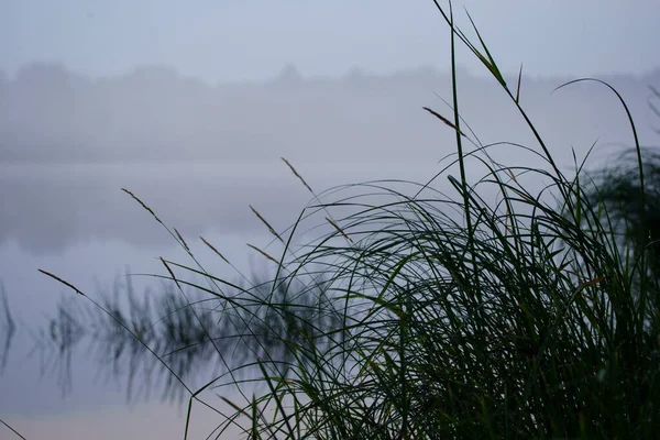 Lago Floresta Rural Verão Com Águas Azuis Profundas Com Reflexos — Fotografia de Stock