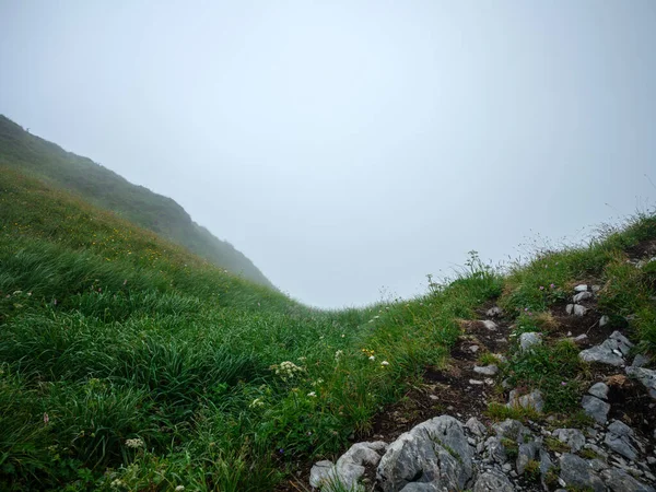 Enevoado Cumes Montanha Eslovénia Triglav Parque Nacional Paisagem Verão Com — Fotografia de Stock
