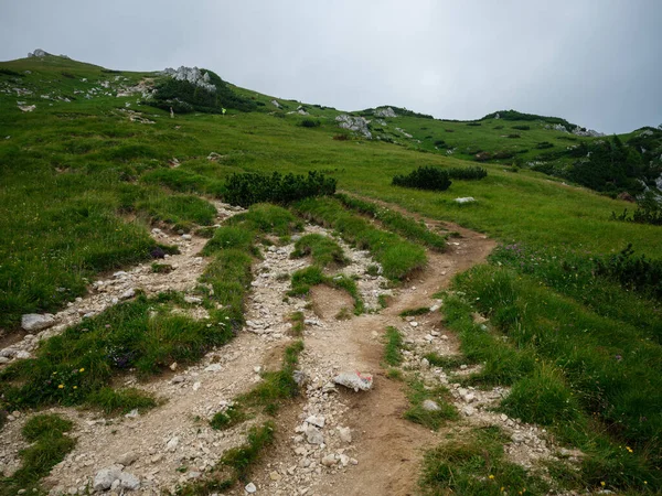 Štěrkové Turistické Stezky Tatrách Slovensku Zelené Letní Kopce Mlhou Velkou — Stock fotografie