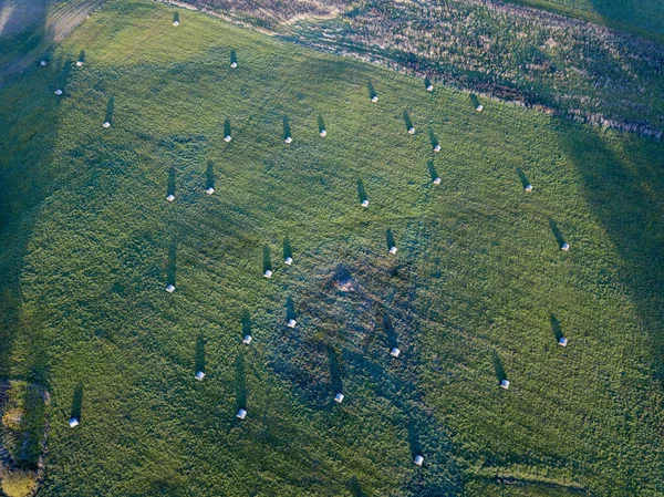 Агрокультурные Поля Сверху Изображение Дрона Стране Осенью Остатки Сена Лугу — стоковое фото