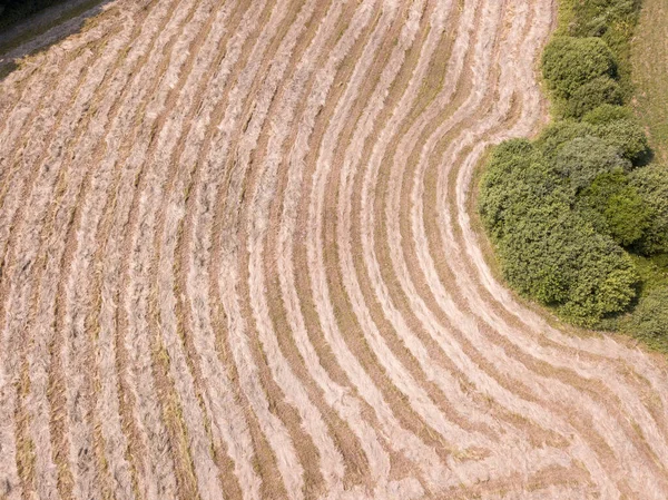 Agrokultúra Mezők Fentről Drónkép Ősszel Országban Széna Maradékok Réten — Stock Fotó