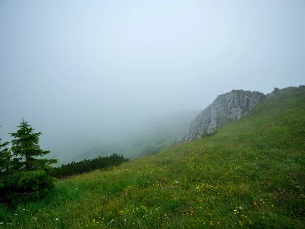 Vârfuri Muntoase Cețoase Parcul Național Slovenia Triglav Peisaj Vară Pietre — Fotografie, imagine de stoc