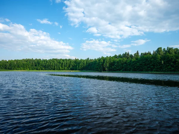 Lac Forestier Champêtre Été Avec Une Eau Bleu Profond Avec — Photo