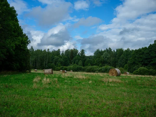 Rollen Droog Hooi Groene Zomerweide Verpakt Voor Diervoeder Winter — Stockfoto