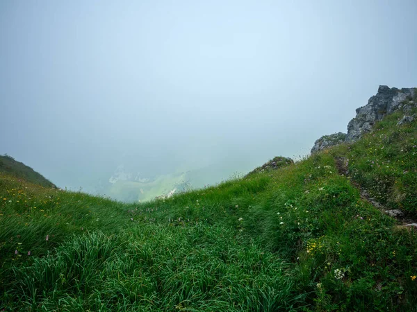 Dimmiga Bergstoppar Slovenien Triglav Nationalpark Sommarlandskap Med Klippor Och Gröna — Stockfoto