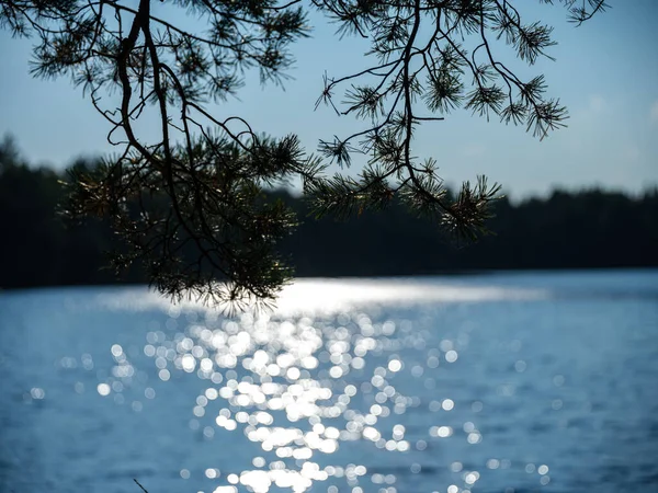 Пляма Відображення Блакитному Осінньому Озері Води Рослинами Ігристі Краплі Води — стокове фото