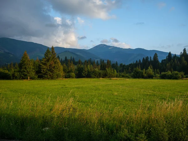 Mgliste Szczyty Górskie Słoweńskim Parku Narodowym Triglav Letni Krajobraz Skałami — Zdjęcie stockowe