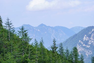 Slovenya 'daki Triglav parkında, mavi bulutlu gökyüzünün altında ve zirvelerinde. Güneşli yaz günü