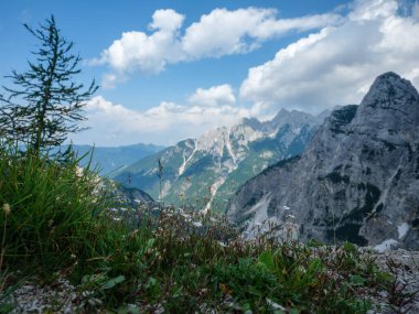 Slovenya 'daki Triglav parkında, mavi bulutlu gökyüzünün altında ve zirvelerinde. Güneşli yaz günü