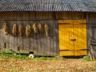 Yazın kırsal alanda ahşap tahtalar ve betondan yapılmış eski bir ahır.
